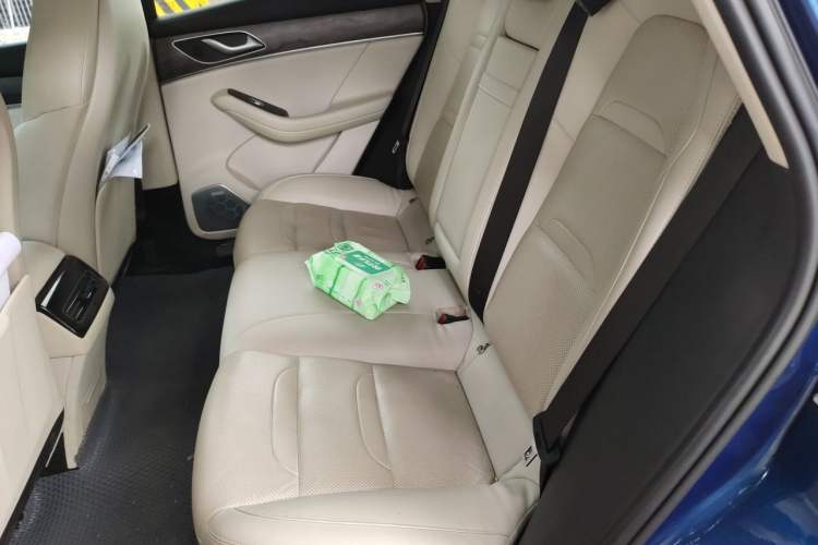 Used SERES SF5 2021 Four-Wheel Drive Freedom Expedition Edition Left Rear Seat