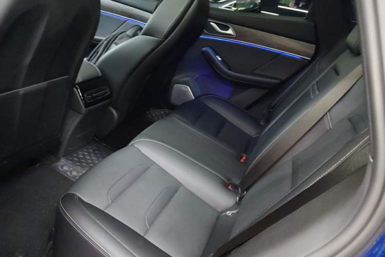 Used SERES SF5 2021 Four-Wheel Drive Freedom Expedition Edition Left Rear Seat