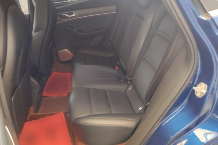 Used SERES SF5 2021 Four-Wheel Drive Freedom Expedition Edition Left Rear Seat