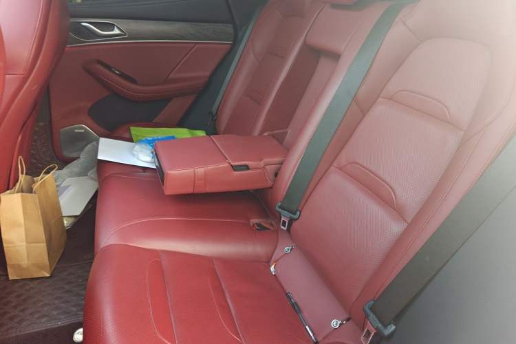 Used SERES SF5 2021 Huawei Smart Selection Four-Wheel Drive Edition Left Rear Seat