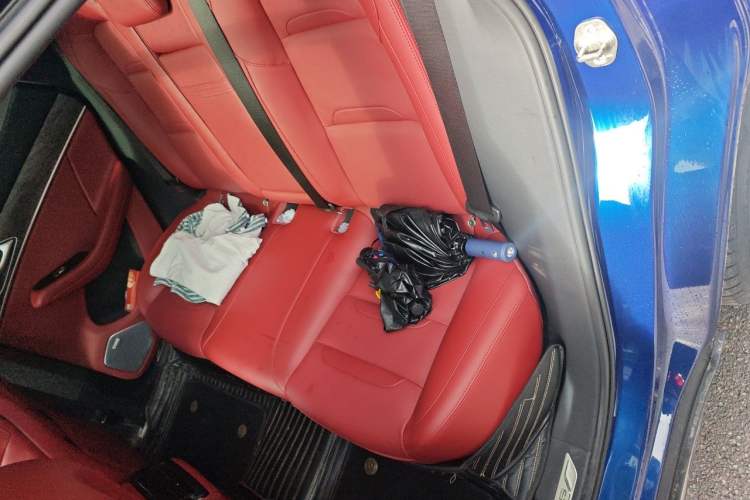Used SERES SF5 2021 Four-Wheel Drive Freedom Expedition Edition Left Rear Seat