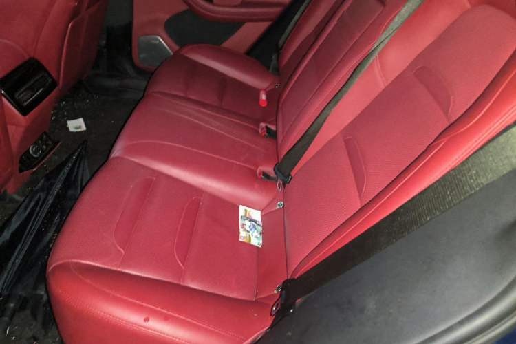 Used SERES SF5 2021 Four-Wheel Drive Freedom Expedition Edition Left Rear Seat