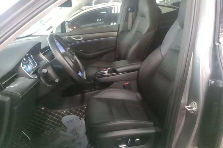 Used SERES SF5 2021 Four-Wheel Drive Freedom Expedition Edition Left Front Seat