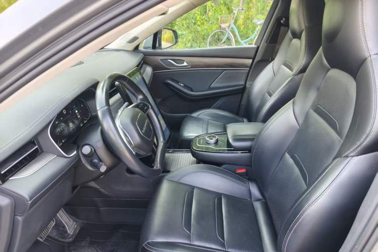 Used SERES SF5 2021 Four-Wheel Drive Freedom Expedition Edition Left Front Seat