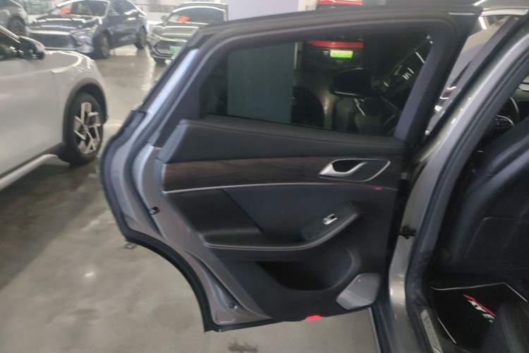 Used SERES SF5 2021 Four-Wheel Drive Freedom Expedition Edition Left Rear Door Interior