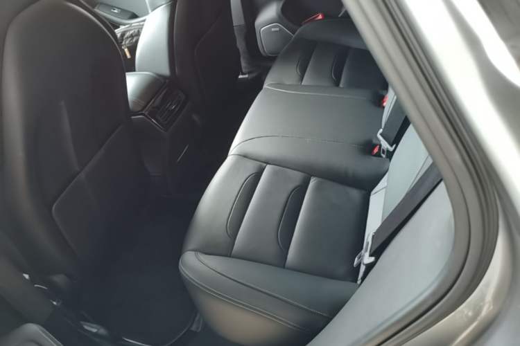 Used SERES SF5 2021 Four-Wheel Drive Freedom Expedition Edition Left Rear Seat