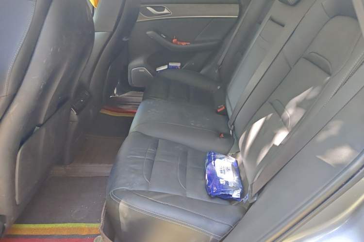 Used SERES SF5 2021 Four-Wheel Drive Freedom Expedition Edition Left Rear Seat