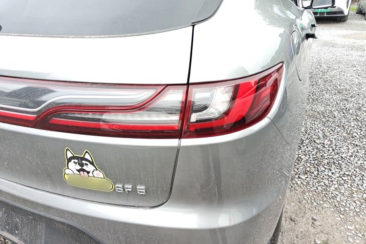 Used SERES SF5 2021 Four-Wheel Drive Freedom Expedition Edition Right Rear Taillight