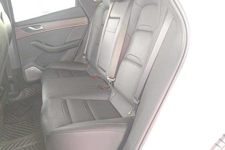 Used SERES SF5 2021 Four-Wheel Drive Freedom Expedition Edition Left Rear Seat
