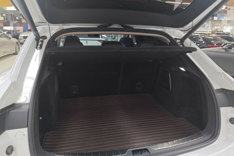 Used SERES SF5 2021 Four-Wheel Drive Freedom Expedition Edition Trunk