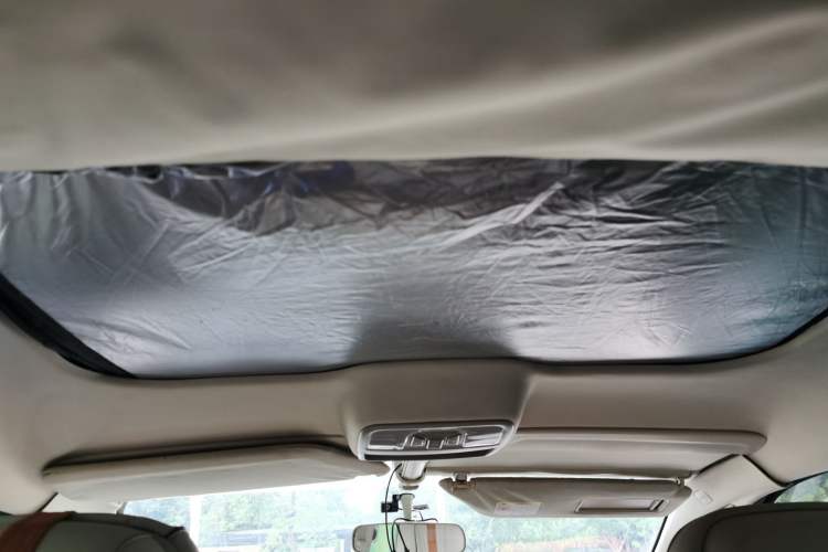 Used SINOGOLD GM3 2018 C-Class Headliner