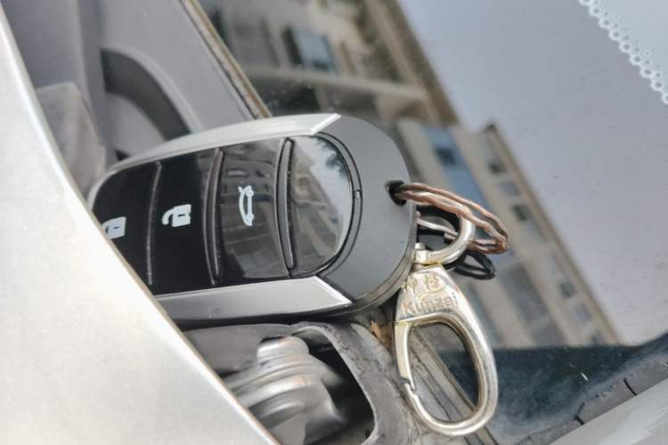 Used SINOGOLD GM3 2018 A-Type Vehicle Key