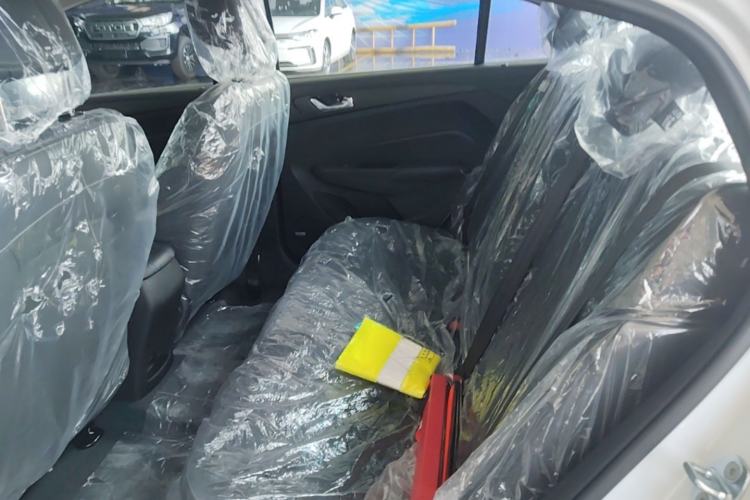 Used SINOGOLD Junxing 2023 Standard Model Left Rear Seat