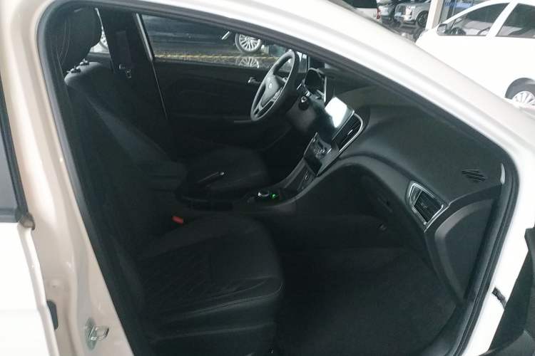 Used SINOGOLD Junxing 2023 Standard Model Right Front Seat
