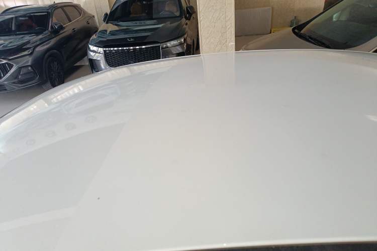 Used SINOGOLD Junxing 2023 Standard Model Roof