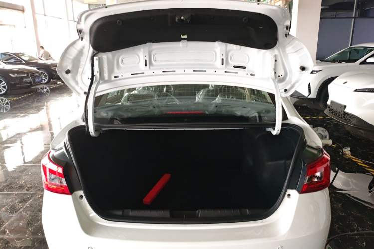 Used SINOGOLD Junxing 2023 Standard Model Trunk