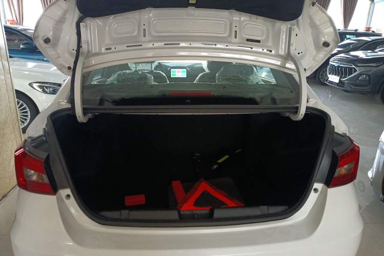 Used SINOGOLD Junxing 2023 Standard Model Trunk
