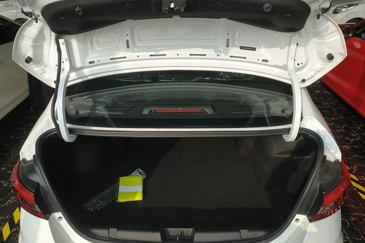 Used SINOGOLD Junxing 2023 Standard Model Trunk