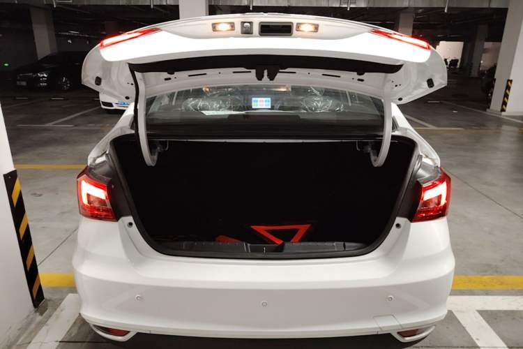 Used SINOGOLD Junxing 2023 Standard Model Trunk