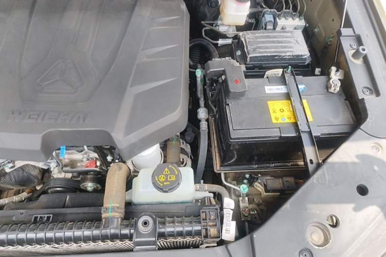 Used Sinotruk BOLDEN 2024 Commercial 2.0T Manual Diesel 4x4 Long Wheelbase Youth Edition Engine Bay Left