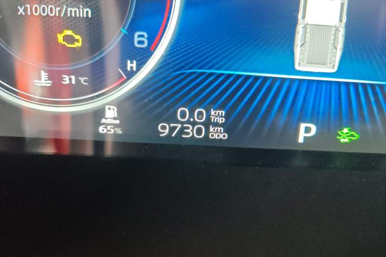 Used Sinotruk BOLDEN 2024 Off-Road 2.0T Automatic Diesel 4x4 Standard Wheelbase Professional Edition Odometer Close Up