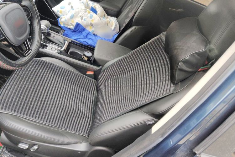 Used Sinotruk VGV U70 2020 1.5T Automatic Smart Luxury 7-Seater Left Front Seat