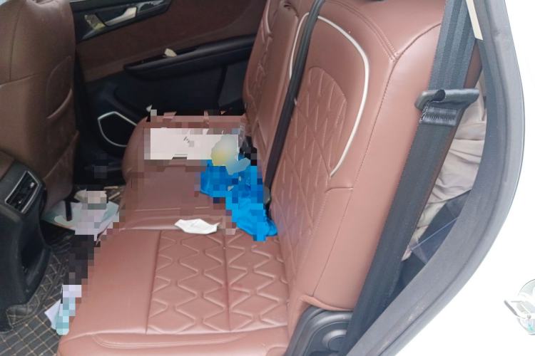 Used Sinotruk VGV U70 2020 1.5T Automatic Smart Luxury 7-Seater Left Rear Seat