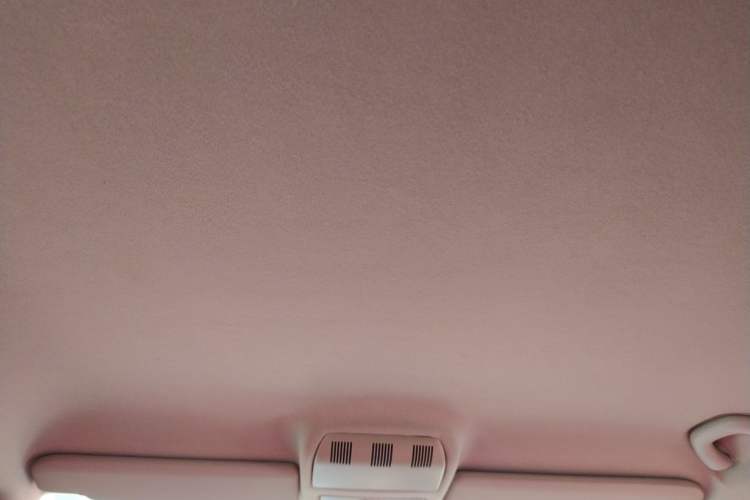Used Skoda Fabia 2011 1.6L Automatic Cool Black Edition Headliner