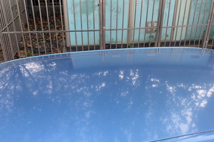 Used Skoda Fabia 2014 1.4L Manual Crystal Edition Roof