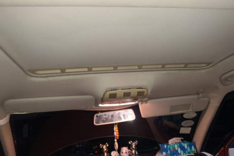 Used Skoda Fabia 2014 1.6L Automatic Crystal Edition Headliner