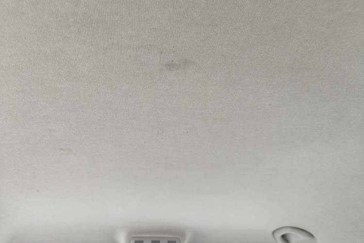 Used Skoda Fabia 2014 1.4L Automatic Crystal Edition Headliner