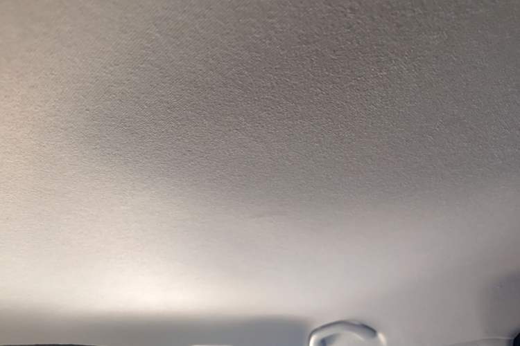 Used Skoda Fabia 2015 1.4L Automatic Front-Drive Model Headliner