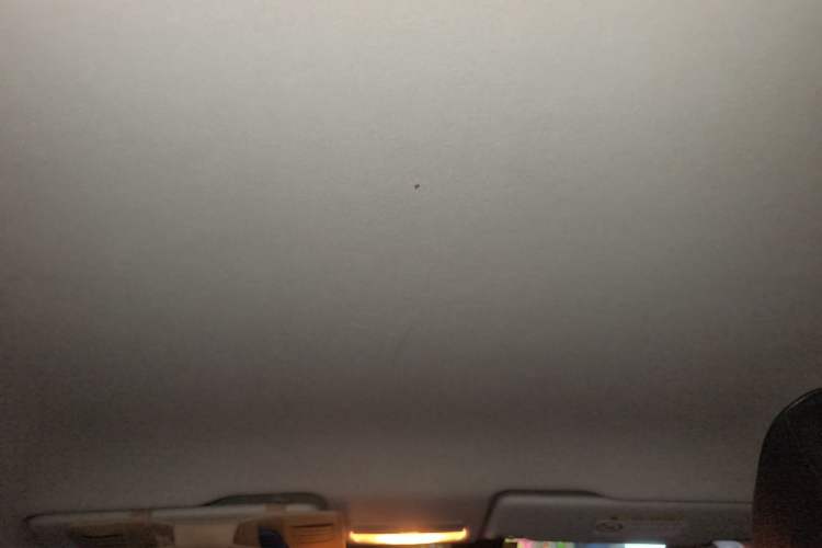 Used Skoda Fabia 2015 1.4L Manual Front-Wheel Drive Model Headliner