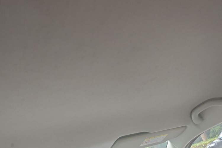 Used Skoda Fabia 2015 1.4L Manual Front-Wheel Drive Model Headliner