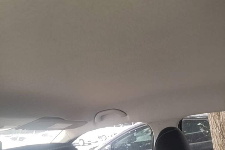 Used Skoda Fabia 2015 1.6L Automatic Chuanxing Edition Headliner