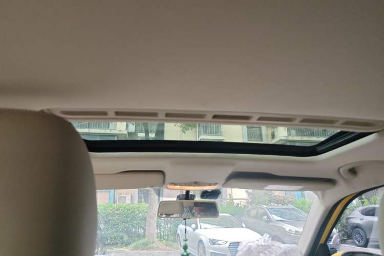 Used Skoda Fabia 2015 1.6L Automatic Smart Drive Edition Headliner