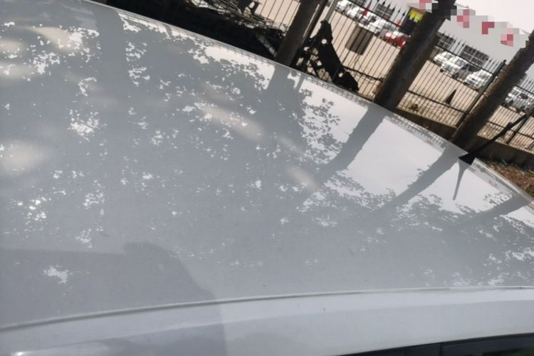 Used Skoda Fabia 2017 1.4L Automatic Car Enjoy Edition Roof