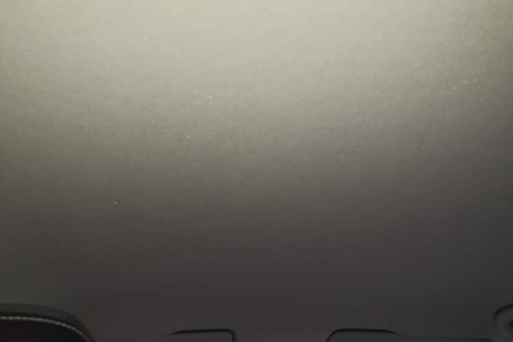 Used Skoda Fabia 2017 1.6L Automatic Sport Edition Headliner