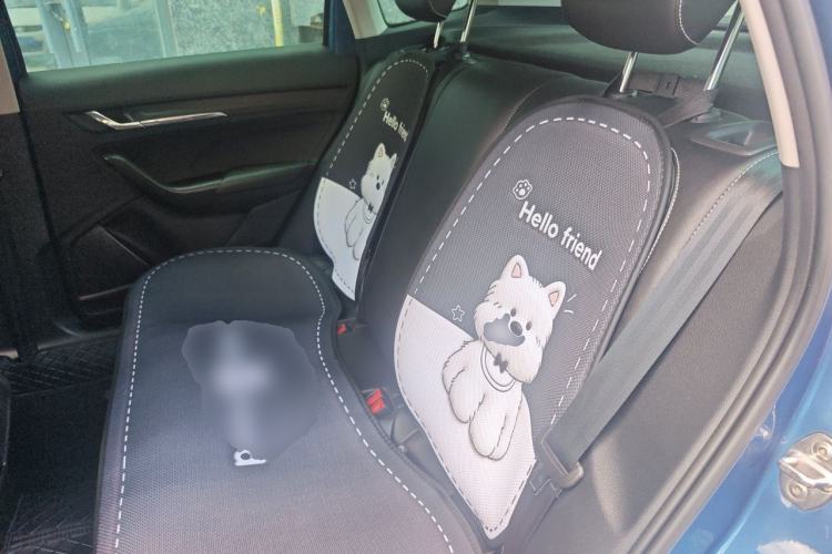 Used Skoda Kamiq 2018 1.5L Automatic Comfort Edition China VI Standard Left Rear Seat
