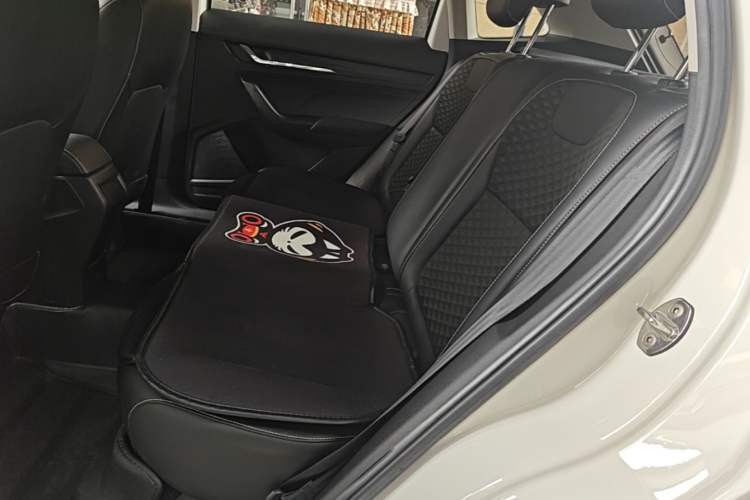 Used Skoda Kamiq 2018 1.5L Automatic Comfort Edition China V Standard Left Rear Seat