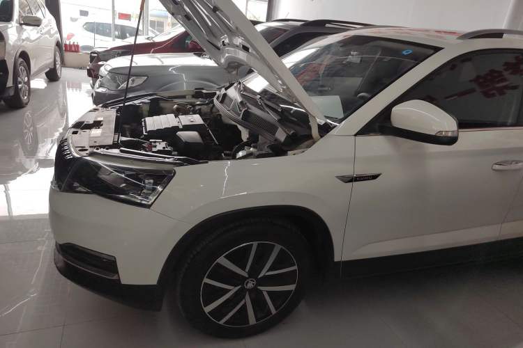 Used Skoda Kamiq 2018 1.5L Manual Comfort Edition China VI Standard Left Side