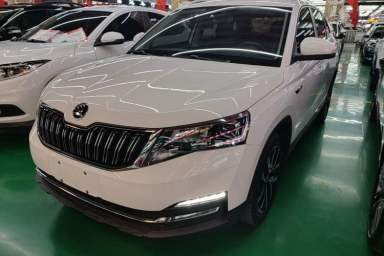 Used Skoda Kamiq 2018 1.5L Automatic Comfort Edition China V Standard