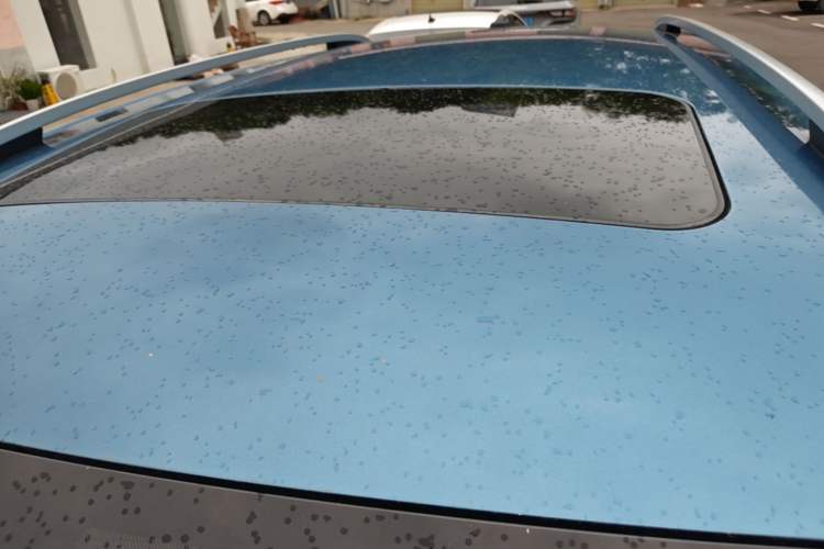Used Skoda Kamiq 2020 1.5L Automatic Comfort Edition Roof
