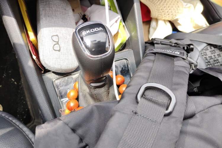 Used Skoda Kamiq 2020 1.5L Automatic Comfort Edition Gear Lever