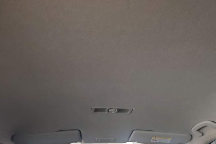 Used Skoda Kamiq 2020 1.5L Automatic Standard Edition Headliner