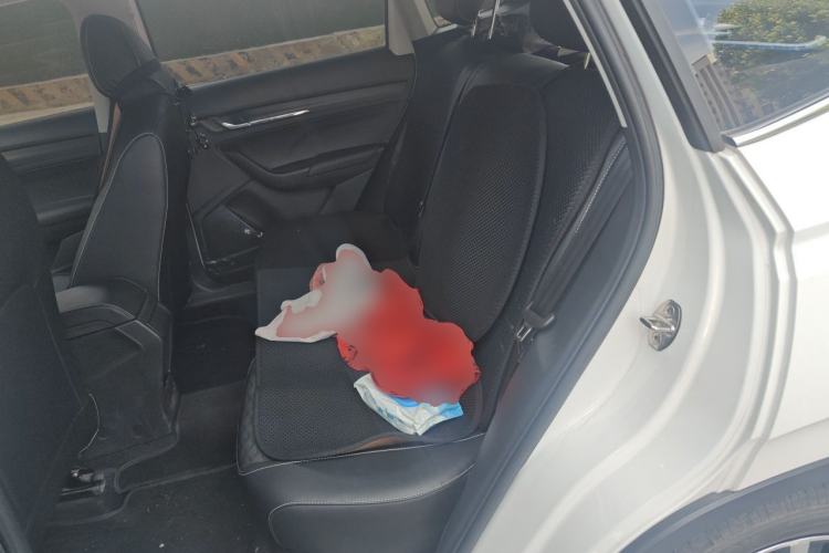 Used Skoda Kamiq 2020 1.5L Automatic Comfort Edition Left Rear Seat