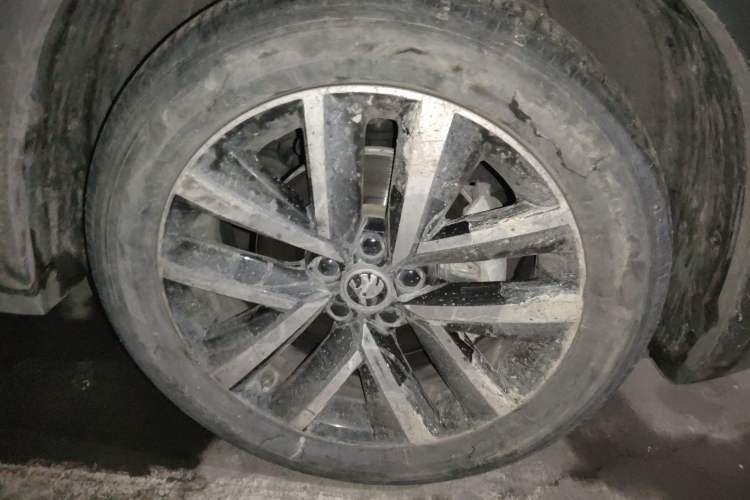 Used Skoda Kamiq 2023 1.5L Automatic Comfort Edition Exterior 7