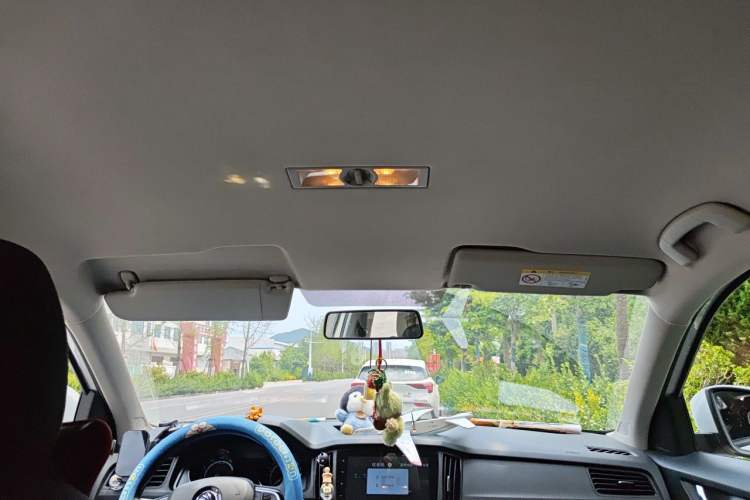 Used Skoda Kamiq 2024 1.5L Automatic Power Version Headliner
