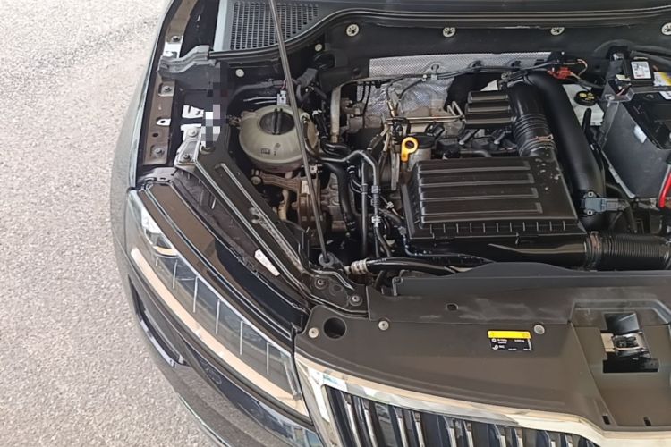 Used Skoda Karoq 2018 TSI280 Luxury Edition China V Standard Engine Bay Right