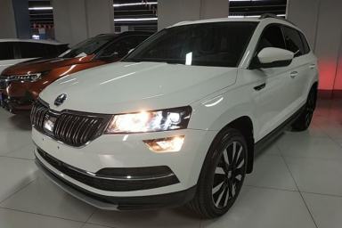 Used Skoda Karoq 2018 TSI280 Luxury Edition China V Standard